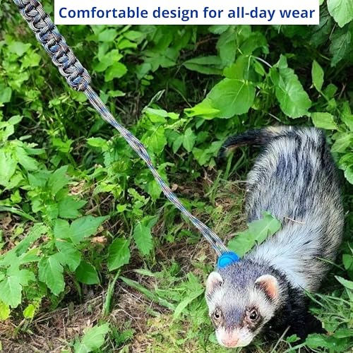 Ferret Leash Harness Adjustable Squirrel, Ferret Leash and Harness Sets for Ferrets Guinea Pig Chinchilla Rat Dragon Bearded Small Animal, Pet Squirrel Ferrets Accessories (Pink) - color: Pink
