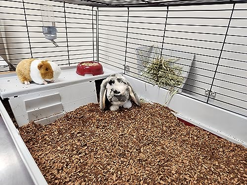 Small Animal Bedding – 20 L –– Coco Chip Fiber Bedding Substrate for Guinea Pig, Hamster, Rabbit, Bunny Litter, Tortoise, Turtle, Reptile, Snake Habitat - Activated Charcoal Odor Control