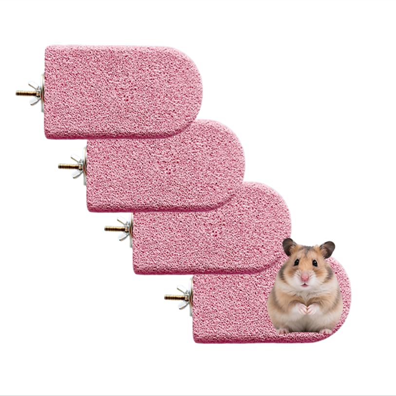 4PCS Lava Ledge for Small Pets/Chinchilla/Hamster/Parrot, Pink(L) | Grinding Claws & Jumping, Safe Natural Volcanic Rock, Reduces Random Chewing - color: Pink, size: L