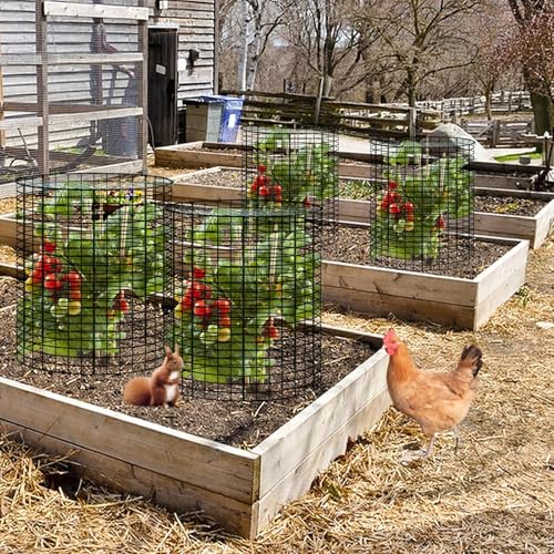 6 Sets of 24'' x 12'' Garden Plant Protectors from Animals with Detachable Covers, Metal Plant Cage Chicken Wire Cloche with Ground Stakes and Nylon Tie, Wire Plant Cage to Keeping Bunny Animals Out - size: 24x12Inch