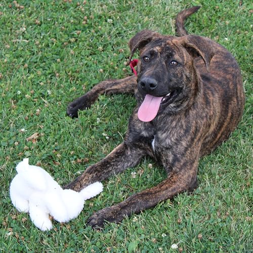 SPOT 6in Vermont Style Fleece Rabbit Dog Toy – Soft Comfort Plushie for Small Dogs & Puppies – Built-in Squeaker – Safe for Light Chewers – No Plastic Parts – Calming & Cuddly Pet Toy - size: 6 inch (Pack of 1), style: Rabbit
