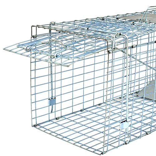 32" X 12" X 12.5" Large Live Animal Trap Cage Humane One-Door Solid Steel Catch and Release Rodent Cage for Raccoon, Rabbits, Stray Cats, Squirrel, Groundhogs, Opossums, Armadillos - style: 32" X 12" X 12.5"