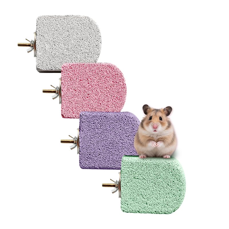4PCS Lava Ledge for Chinchilla/Hamster/Parrot, Gray&Pink&Purple&Green(M) | For Small Pets, Grinding Claws & Jumping, Safe Natural Volcanic Rock, Reduces Random Chewing - color: Grey&Pink&Purple&Cyan, size: M