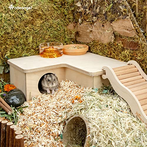 Niteangel Multi-Chamber Hamster House Maze: 1 Entrance 3 Rooms Maze Habitat | No-Disturb Removable Lid - Encourage Pets Hide and Explore Freely Hideout & Tunnel Maze Toys for Hamster Gerbils Mice Lemming - size: 3-Room Small