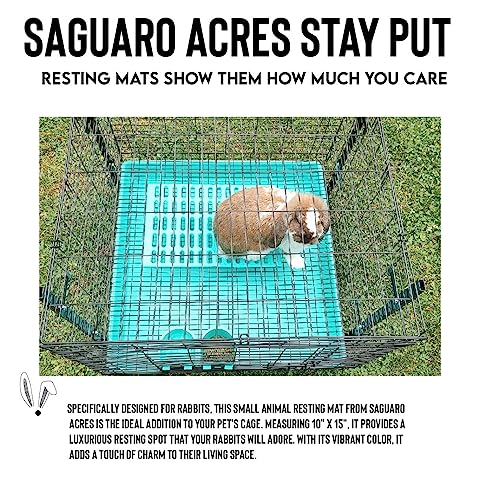 Saguaro Acres Rabbit Cage Resting Mat - Pack of 6 (Teal) - color: Teal