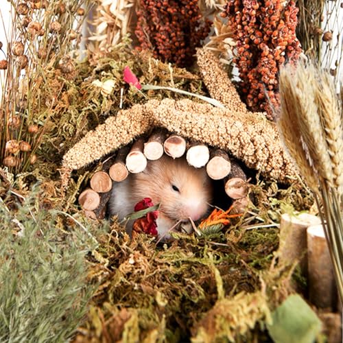 Natural Ear of Grain Flower&Herb Bedding Mate Habitat Decor, Adding Fun Hamster Accessories for Hamsters Gerbils Lemming - color: Harvest Wind