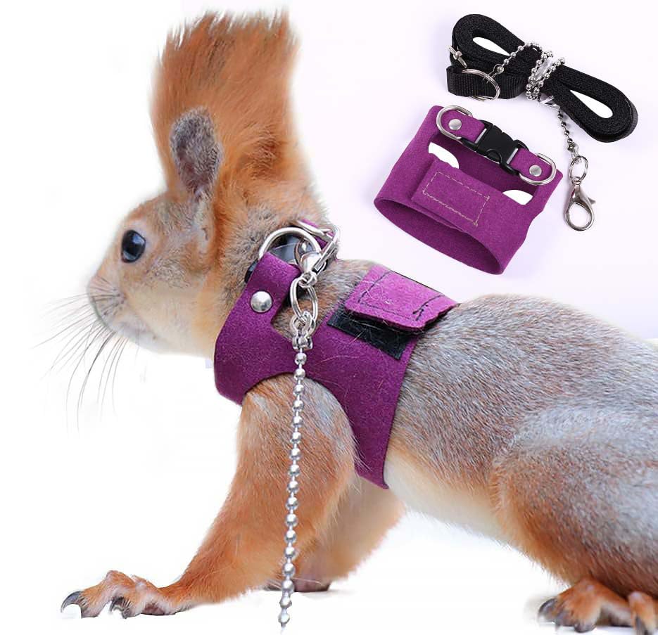 Squirrel Traction Rope Strap Anti-Bite Chain Rope, Adjustable Vest,Purple | Small Animal Walking Harness with Lead Leash/ No Neck Strain/ Stress-Free& Soft/ Hamster Gerbil Rat Mouse Ferret Chinchilla - color: Purple