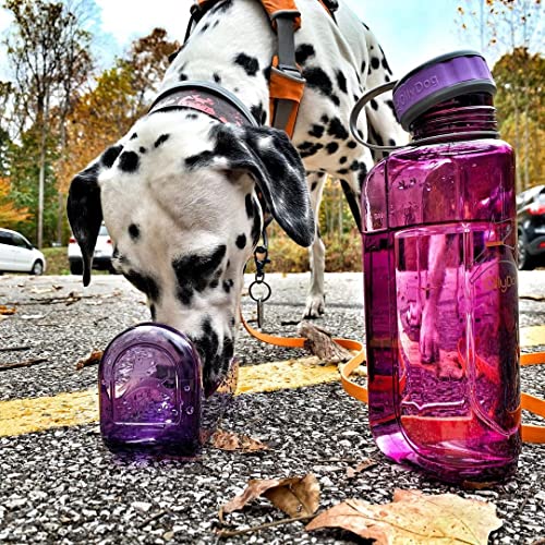 OllyDog OllyBottle | Tritan Dog Water Bottle with Detachable Bowl | BPA Free Leakproof Pet Dispenser | Hiking Travel (600ml, Plum) - color: Plum, size: 600ML