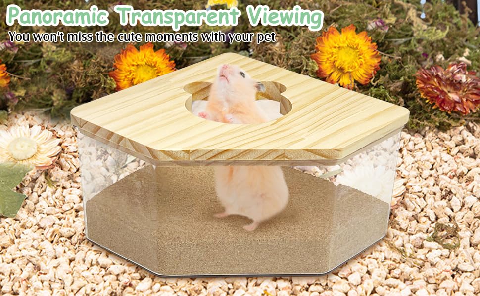 kathson Hamster Sand Bath Box Transparent Acrylic Small Animals Shower Bathtub Syrian Hamster Digging Sand Container Cage Accessories for Lemmings Gerbil Mice (Small Pentagon) - size: Small - Pentagon