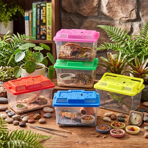 LemonRoad 25 Pcs Plastic Reptile Terrariums,Cute,5.1x3.5x3.5 Inch | Carrier Cage, Tarantula Enclosure Snake Breeding Box, Portable Fish Tank, with Ventilated Lid for Spider Turtle Lizard - color: Cute, size: 5.1x3.5x3.5 Inch