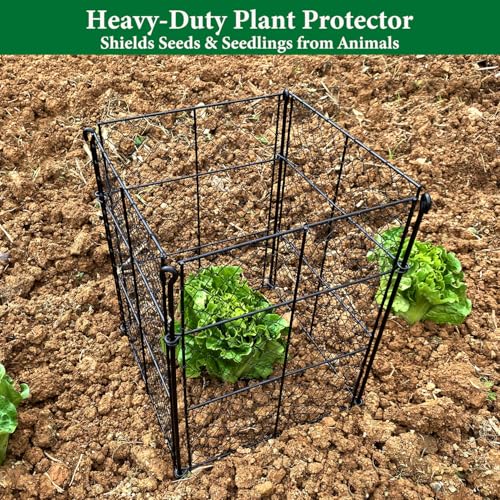 4 Pack Plant Protectors from Animals, 16Pcs DIY Plant Cages 12.6"x12.6"x16", Chicken Wire Garden Animal Barrier, Keep Rabbits & Chipmunks Out for Vegetables, Shrubs & New Plants - size: （12.6"L x 12.6"W x 16"H）4 Packs