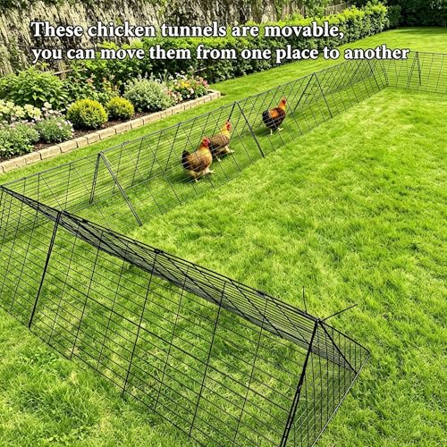 Heavy Duty Chicken Run Tunnel for Yard & Outside, Foldable & Expandable Chicken Tunnel, Portable Predator-Proof Poultry Playpen for Chickens, Rabbits & Ducks - size: Coop 2