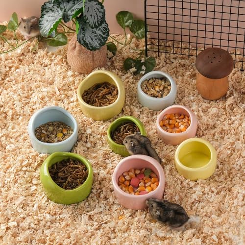 VanEnjoy 4 Pack Small Hamster Food Bowl Ceramic Guinea Pig Food Dish No Spill Hamster Food and Water Bowl Small Animal Food Bowl - Pink Blue Yellow and Green - size: 2.5"*1.78"