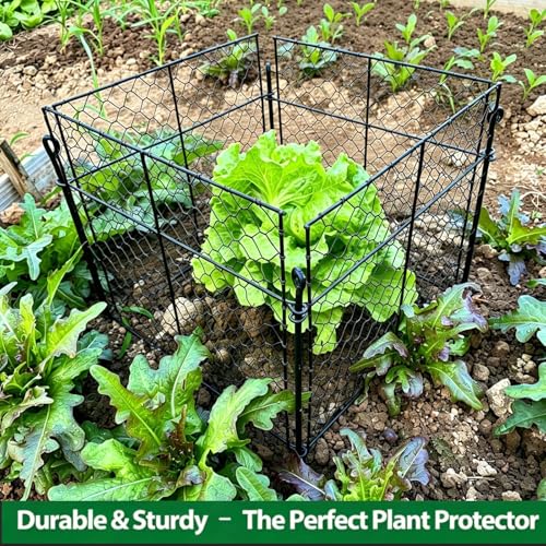 5 Pack Plant Protectors from Animals, 20Pcs 1" Mesh DIY Plant Cages 13.8"x13.8"x12", Metal Garden Animal Barrier with Stakes, Keep Rabbits & Chipmunks Out for Vegetables, Shrubs & New Plants - size: （13.8"L x 13.8"W x 12"H）5 Packs