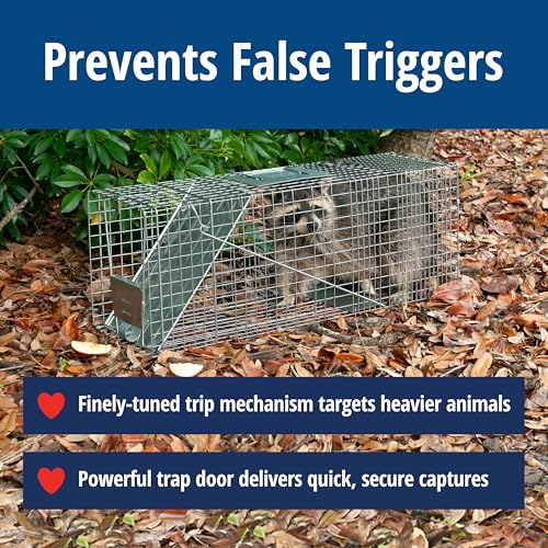 Havahart Large 1-Door Live Animal Trap for Raccoons, Cats, Bobcats, Beavers | Heavy Duty Humane Catch and Release Cage Trap for Outdoor Pest Control, 1079SR
