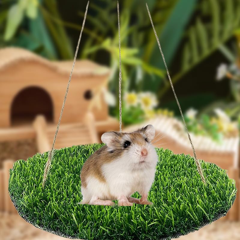 Reptile Hammock Swing Hanging Bed, PP Grass Pad，Portable Bird Swing Stand Reptile Natural Swing Hanging Bed for Bearded Dragon Leopard Gecko Lizard Birds Parrots（Round） - color: Round