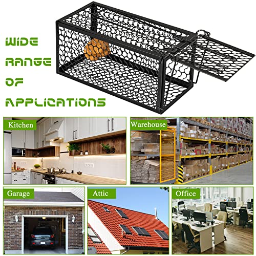 Qualirey 2 Pcs Humane Rat Trap Chipmunk Rodent Mouse Squirrel Trap,Black | 9.1 x 4.5 x 4.5 Inches Mouse Voles Hamsters Cage Rat Cage for Mice Easy to Catch and Release - color: Black