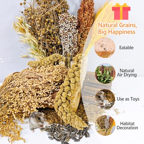 Natural Hamster Flower & Herb Habitat Deocr, Hamster Sprays Herbs Bedding Mate, Hamsters Cage Enrichment Decoration Accessories for Gerbil Dwarf Syrian Hamsters Guinea Pig Mice or Small Animals