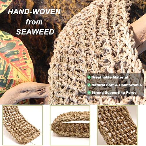 Bearded Dragon Hammock Lizard Tank Accessories Reptile Lounger Amphibian Habitat Décor for Chameleon, Geckos, Snakes, Hermit Crab, Lguana Reptiles, Tortoises - size: 16"+16"