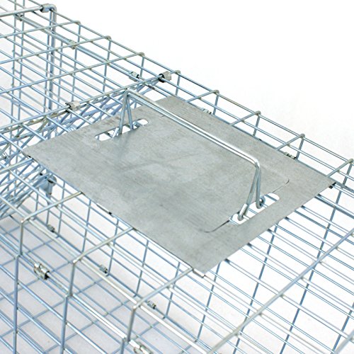 32" X 12" X 12.5" Large Live Animal Trap Cage Humane One-Door Solid Steel Catch and Release Rodent Cage for Raccoon, Rabbits, Stray Cats, Squirrel, Groundhogs, Opossums, Armadillos - style: 32" X 12" X 12.5"