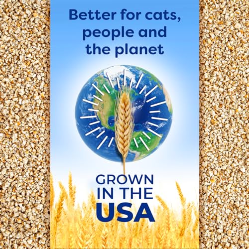 sWheat Scoop Natural Wheat Multi-Cat Litter, Superior Clumping with Odor Neutralizing Enzymes, 25 Pound Bag