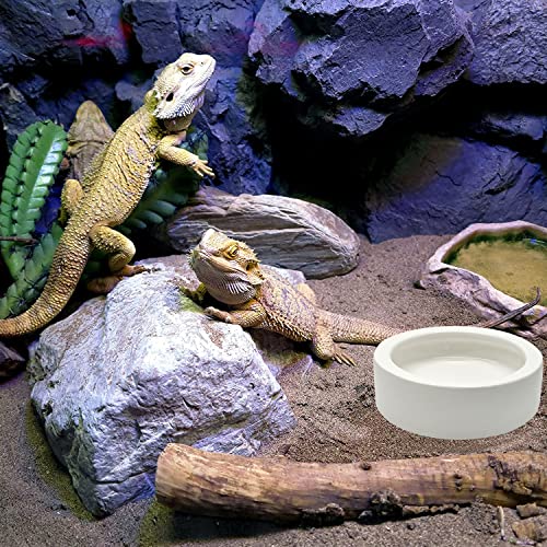 3 Pcs Reptile Food Bowl, Ceramic Water Feeder Bowl for Lizard Anoles Bearded Dragons Crested Gecko Hermit Crabs Triangular | Mini Reptile Feeder Reptile Food Bowls Bearded Dragon Bowl