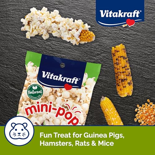 Vitakraft Mini-Pop Treat for Small Animals 6 oz – All-Natural Single-Ingredient Snack - Serve Popped or Unpopped – Enrichment, Chewing, Fun, Natural Teeth Wear – Rabbit, Hamster, Gerbil, Guinea Pig - size: 6 Ounce (Pack of 1)