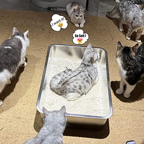 Stainless Steel Cat Litter Box,Extra Large Metal Litter Box,24Lx16x6 in | Extra Large Metal Litter Tray for Big Cats Kitty Rabbits,No Smell,Non Stick,Easy to Clean - color: 6"H, size: 24"L x 16"W