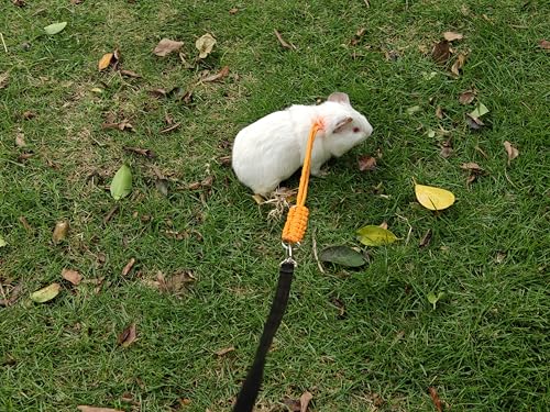 Handmade Figure 8 Harness and Leash for Ferrets/Guinea Pigs/Rats | Adjustable, Lightweight & Safe | Fits Small Animals: Bunnies/Bearded Dragons/Chinchillas/Reptiles/Birds/Squirrels/Rabbits - color: Green+Pink
