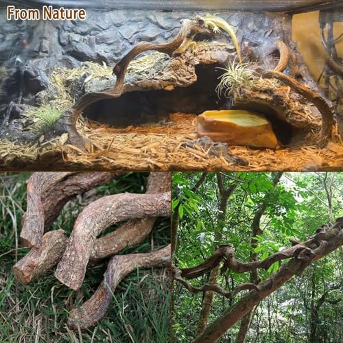 Reptile Decor 3PCS Natural Forest Branch Terrarium Habitat Decoration Lizard Climbing Tree Branch for Bearded Dragon Gecko Snake Frog Chameleon Spider