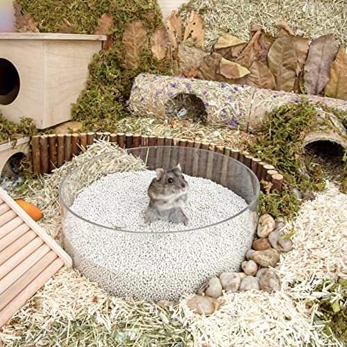 Niteangel Training Litter Potty Sand: 1.4 L x 2 Absorb Odor & No Dust | Clumps Easily & Encourages Digging - Hamster Sand Bath for Syrian Dwarf Hamsters Gerbils Mice Lemming or Other Small Pets - size: 1.4 L x 2 - Purple Label