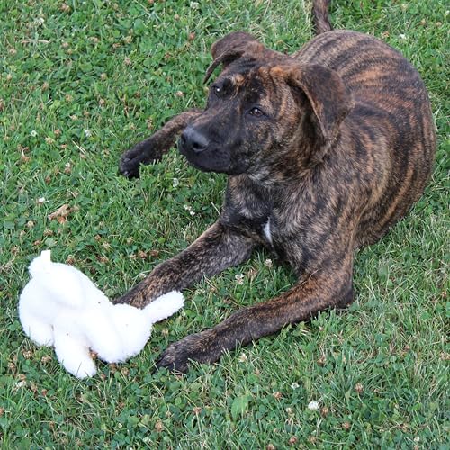 SPOT 6in Vermont Style Fleece Rabbit Dog Toy – Soft Comfort Plushie for Small Dogs & Puppies – Built-in Squeaker – Safe for Light Chewers – No Plastic Parts – Calming & Cuddly Pet Toy - size: 6 inch (Pack of 1), style: Rabbit