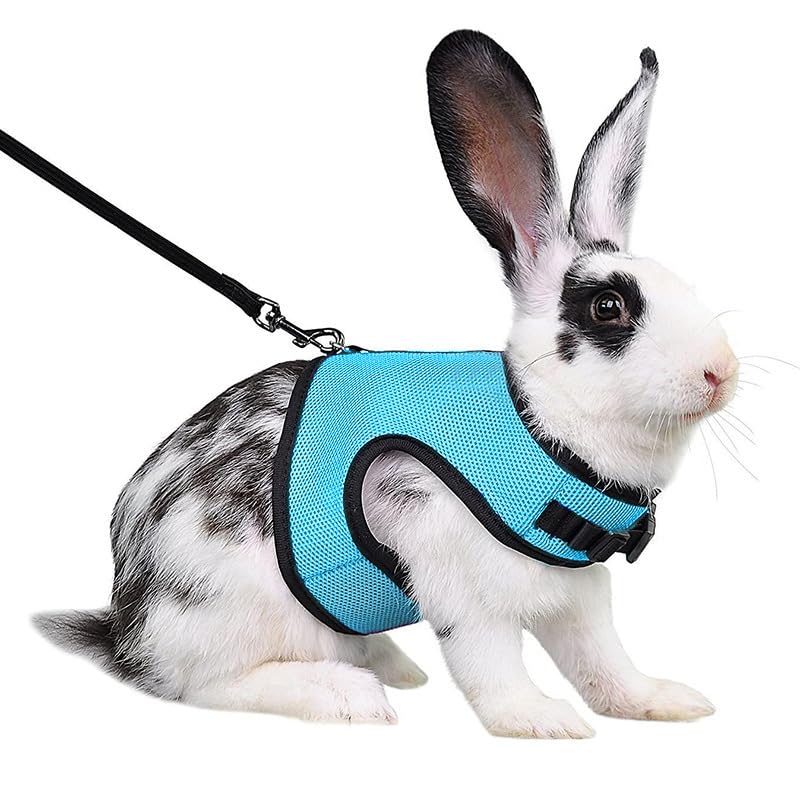 Rabbit Harness and Leash Escape Proof Soft Mesh Bunny Leash and Harness Set | Blue, Breathable Mesh Prevents Overheating,Dual Adjustable Tape Quick Buckle Anti-escape,For Rabbits Ferret and Small Animals - color: Blue, size: M(Chest 7.1–9.8 in)Small Rabbi