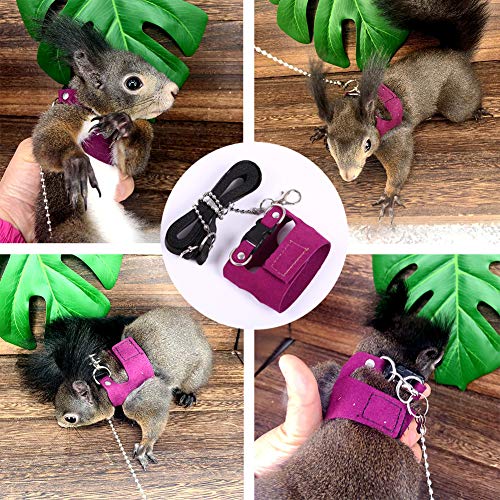 Squirrel Traction Rope with 1.8m Lead Leah, Adjustable Small Animal Walking Harness, Anti-Biting Chain Rope Vest Strap for Hamster Gerbil Rat Mouse Ferret Chinchilla and Small Animals - color: Purple