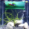 Brand Betta Tunnel (Translucent Dark Green) - color: Translucent Dark Green