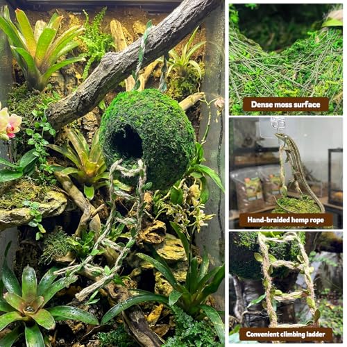 Moss Cave Hideout with Hanging Rope & Hemp Climbing Ladder – Natural Reptile Tank Decor Accessories for Crested Geckos, Chameleons, Tree Frogs, Leopard Geckos & Snakes. Terrarium & Vivarium Decor (6") - size: 6"