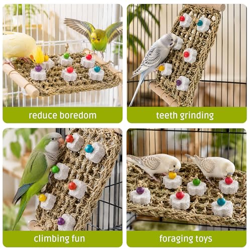 FlidRunest Conure Seagrass Mat with Grinding Calcium Stone Chewing Toy | Parrot Beak Grinding Stone and Seagrass Ladder Bridge Stands, Hand-Woven Net Climbing Net for Budgie Parakeet - size: B(With Calcium Stone)