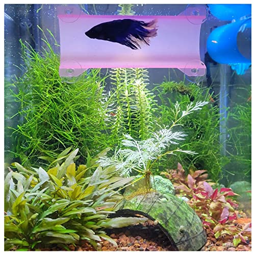 Brand Betta Tunnel (Translucent Pink) - color: Translucent Pink