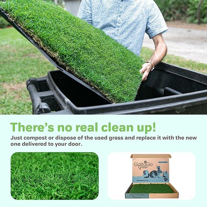 Gotta Go Grass for Small Animals – Natural Real Grass Bedding & Pet Resting Pad,Grass Potty Pad for Rabbits, Guinea Pigs, Hamsters, & Small Pets, Odor Absorbent Grass Mat (With Tray 2-Pack 16" x 24") - size: With Tray 2- Pack