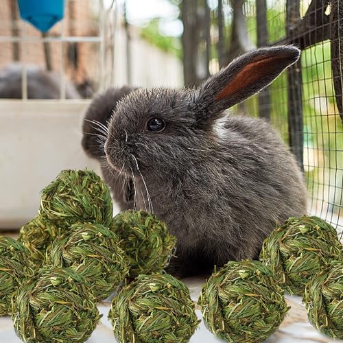 Hamiledyi 10 Pcs Rabbit Chew Ball Timothy Grass Ball Small Animal Activity Play Chew Toys Teeth Grinding for Bunny Rabbits Hamster Guinea Pigs Gerbils Chinchillas - style: Round 10 PCS