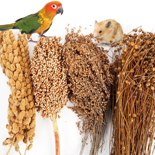Fhiny Natural Hamster Bedding, Edible Hamster Sprays Flowers & Herbs Gerbil Habitat Enclosure Decor Grain Treats Cage Accessories for Dwarf Syrian Hamster Gerbil Mice Lemming Degus