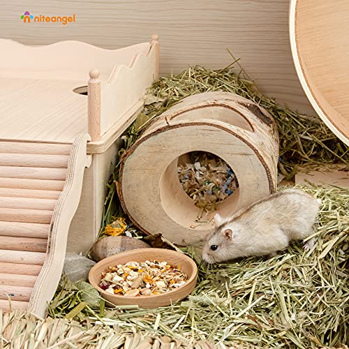 Niteangel Wooden Hamster Food Bowl: Beech Stable & No Pattern for Dwarf | Prevent Oil & Dust Small Animal Feeding Dish for Dwarf Syrian Hamsters Gerbils Mice Degus or Other Similar-Sized Small Pets - size: For Dwarf