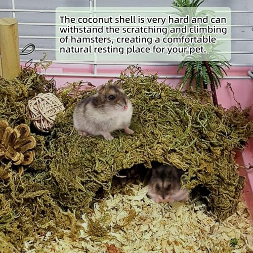 kathson 2Pcs Hamster Hideout House,Natural Mossy Coconut Hut Hides Hideaway | Pet Hiding House, Small Animal Cage Accessories for Mouse Mice Rat Gerbil Reptiles - size: 2 Pcs Small