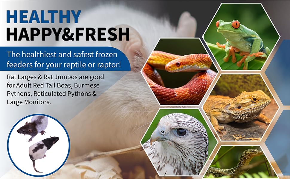 MiceDirect 8 Frozen Rat Combo Pack 4 Larges and 4 Rat Jumbo Feeders Snake Food (9-11 in)(1800 Grams Min) - size: 9-11 in (Pack of 8)