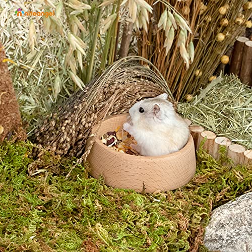 Niteangel Wooden Hamster Food Bowl: Beech Stable & Hammy Pattern for Dwarf | Prevent Oil & Dust Small Animal Feeding Dish for Dwarf Syrian Hamsters Gerbils Mice Degus or Other Similar-Sized Small Pets - size: For Dwarf