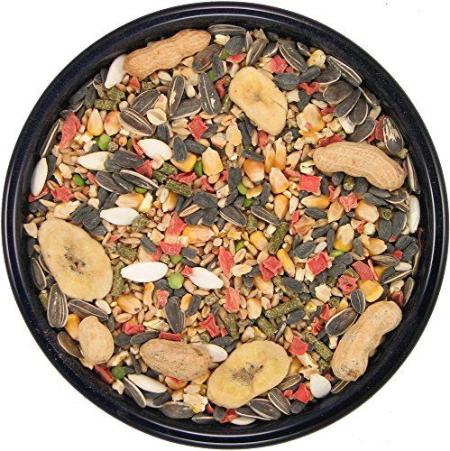 SLEEK & SASSY Garden Small Animal Food for Hamsters, Gerbils, Mice & Rats (40 lbs.) - size: 40 Pound (Pack of 1)