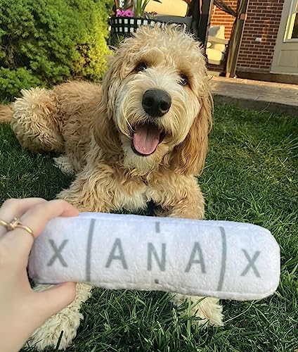 Nestpark Chill Pup Funny Dog Toy - Parody Plush Squeaky Crinkle Dog Toy