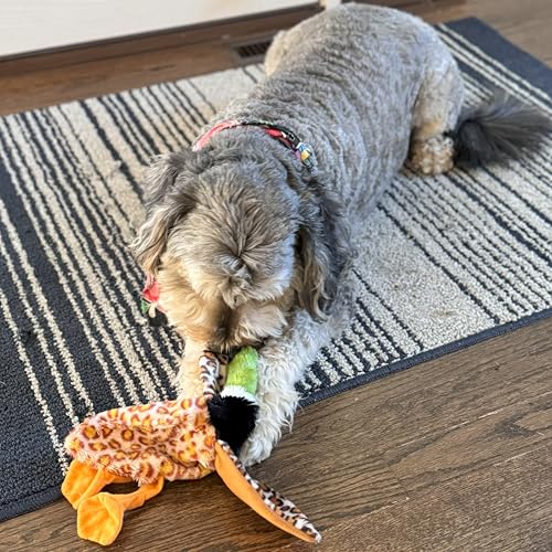 SPOT Skinneeez Mini Mallard Duck 13 Inch Stuffing-Free Plush Squeaky Dog Toy – Soft Interactive Toy for Small and Medium Dogs – Mess-Free Play for Light & Moderate Chewers – Assorted Styles - style: Mini Mallard Duck