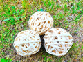 Hexagrowth Large Bamboo Balls (3-3.5’’) for Gerbils, Hamster, Guinea Pig, Rabbit, Chinchillas, Natural and Handmade, Foraging Cage Toy for Ferrets, Parrot, Macaw, Parakeet Cockatiels Finch, 3 Pack.