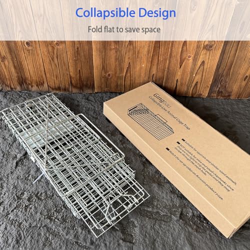 Gingbau Squirrel Trap Foldable Heavy Duty Humane Live Animal Cage Trap (Not for Mouse)